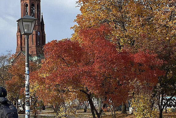 Red and orange trees in front of a red church tower.