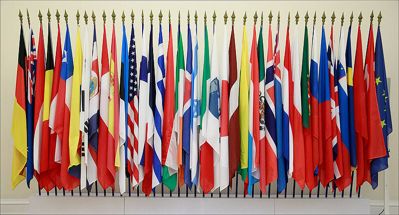 OECD Member flags are lined up closely next to each other.